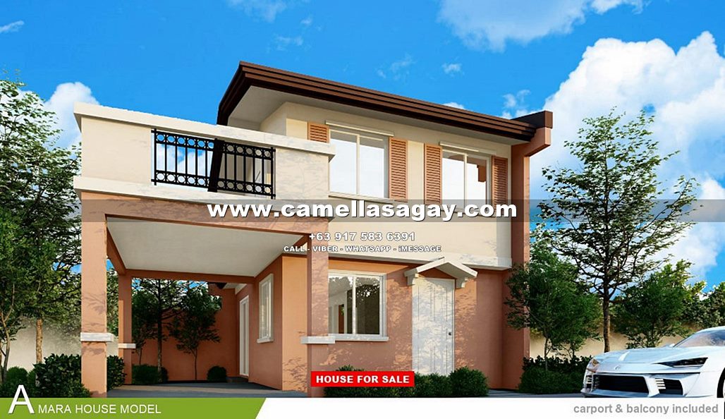 Amara House for Sale in Sagay